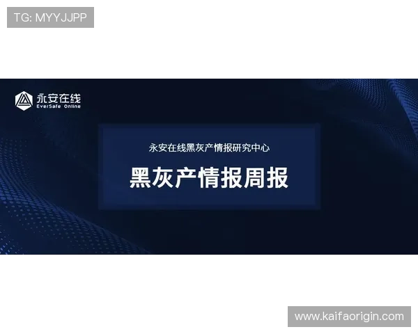 PA平台的在线入口安全性详解及使用指南，保障用户权益与数据安全