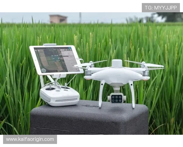 凯发在线官网多样化的游戏选择满足不同玩家的娱乐需求，体验极致游戏乐趣